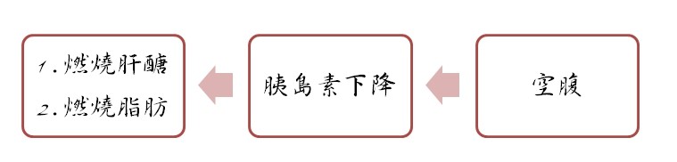 禁食荷爾蒙狀態