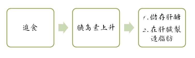 進食荷爾蒙狀態