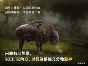 聖經金句 愛神行為