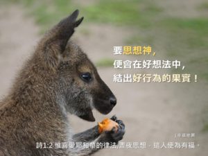 聖經金句 晝夜思想