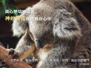 聖經金句 真心懇求