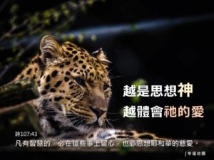 聖經金句 總是思想