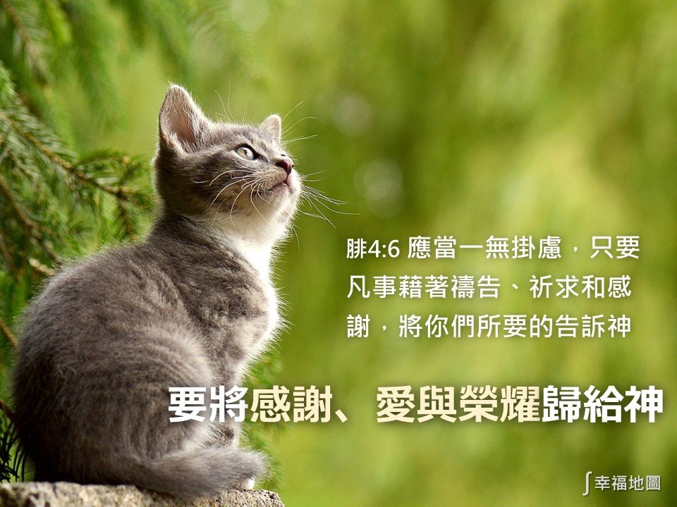 聖經金句圖|基督徒問候圖-祝福篇(動物版)