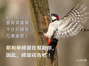 聖經金句 總是禱告