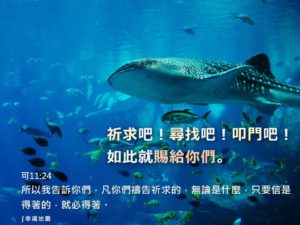 14句關於祈求、尋找、扣門的聖經經文(中英對照)：祈求、尋找、叩門是人的責任分擔